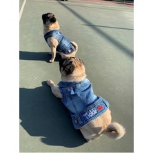 Salya Store Tickle Me; Jeans Yazlık Köpek Kot Ceket Küçük Irklar TCK-103