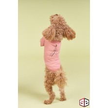 Salya Store Yeni Pou Serisi - Hands 0-30kg Köpek Tshirt KK-103