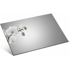 Polin 0.70 mm Gümüş Ayna Pleksi Akrilik 61x81 cm