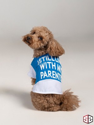 Salya Store 3D Rubber Baskı Yazlık T-Shirt-  Pamuk Köpek Kıyafeti, Köpek Yazlık KK-110