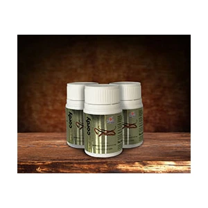 Gano Excel Ganocordy Kapsül