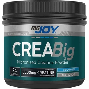 Bigjoy Sports Creabig Powder Creatine Monohydrate Micronized Amino Asit 120g