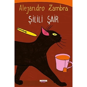 Şilili Şair - Alejandro Zambra