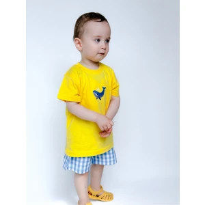 Balina Baskılı Takım