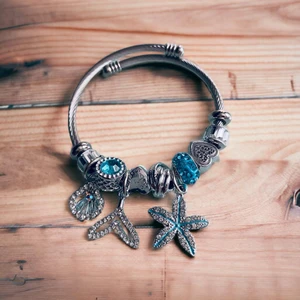 Charm Çelik Pondora Bileklik Bilezik Künye