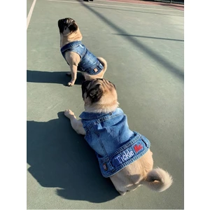Salya Store Tickle Me; Jeans Yazlık Köpek Kot Ceket Küçük Irklar TCK-103