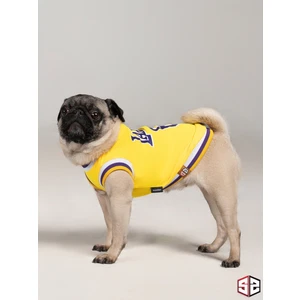 Salya Store Lakers Yazlık Köpek Forma Kedi,köpek Kıyafeti Küçük Irklar KK-111