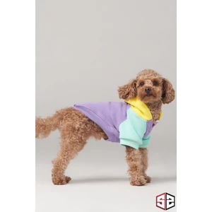 Köpek Kıyafeti, Köpek Sweatshirt, Positive Vibes Küçük Irk Köpek Elbisesi