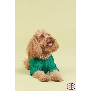 Salya Store Yeni Pou Serisi - Camping 0-30kg Köpek Tshirt Köpek Kıyafeti KK-101