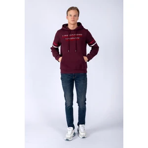 Lee Cooper Athel Erkek Sweatshırt Mürdüm