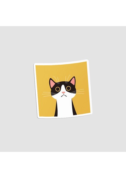 Meraklı Kedi Tasarımlı Laptop Sticker