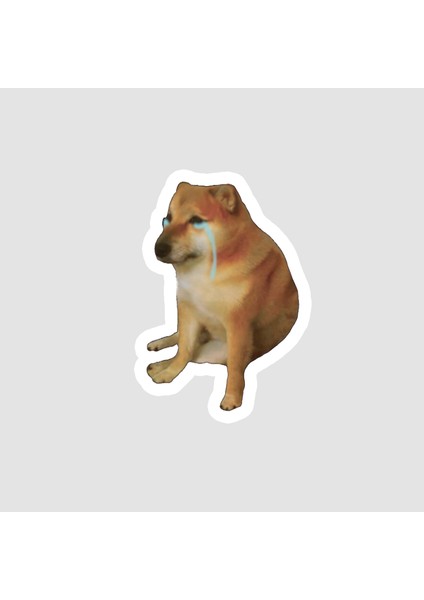 Ağlayan Köpek Memes Tasarımlı Laptop Sticker
