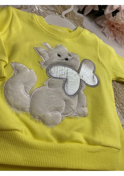 Peluş Kedicik Detaylı Bebek Çocuk Alt Üst Takım fiyatları