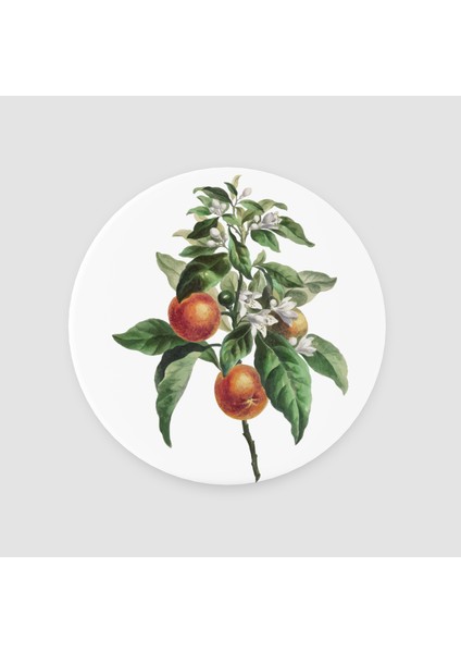 Kayısı Ağacı Tasarımlı Yuvarlak Bardak Altlığı