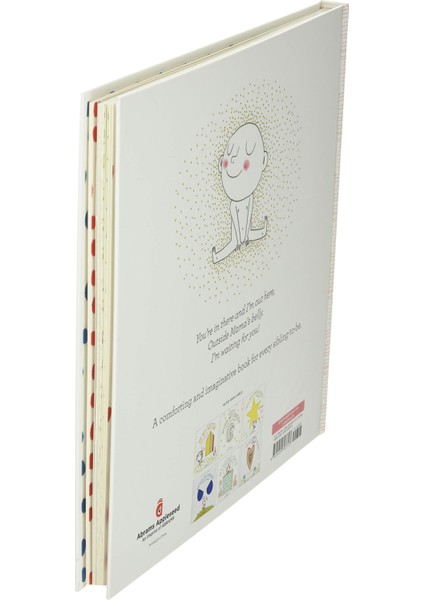 Hello in There!: A Big Sister's Book of Waiting - Jo Witek