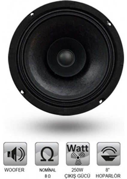 2025 Hoparlör 250 Watt 25 Cm (10 inch)