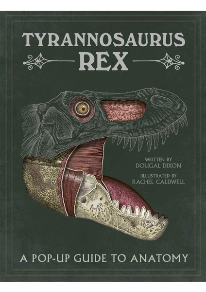 Tyrannosaurus Rex: A Pop-Up Guide To Anatomy