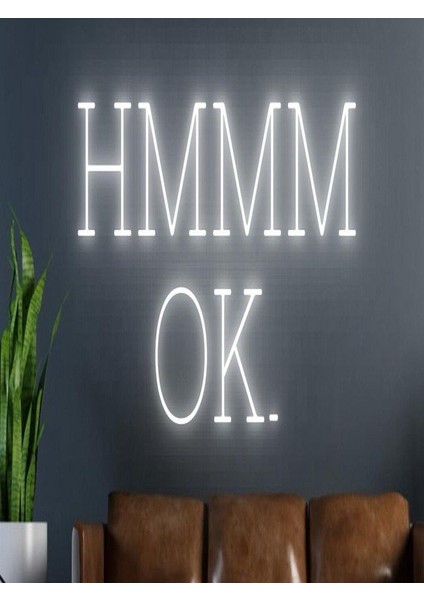 Hmmm Ok. Yazılı Neon Tabela