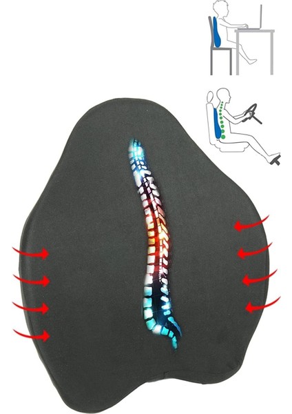 Soge x Visco Yeni Nesil Anatomik Bel Ofis Sırt Destek Minderi Bel Yastığı Ortopedik Oto Araç Koltuk Bel Destek Yastığı