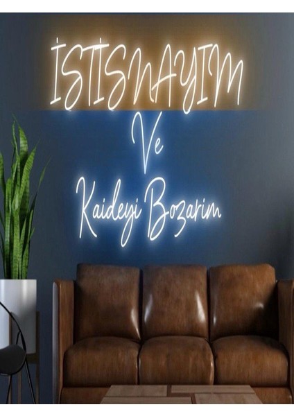 Istisnayım ve Kaideyi Bozarım Yazılı Neon Tabela