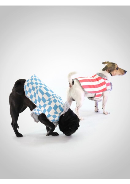 Köpek Montu - Su Geçirmez & Kürklü modelleri