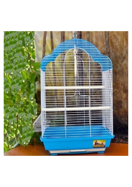 Kafes Renkli 34,5X28X54,5