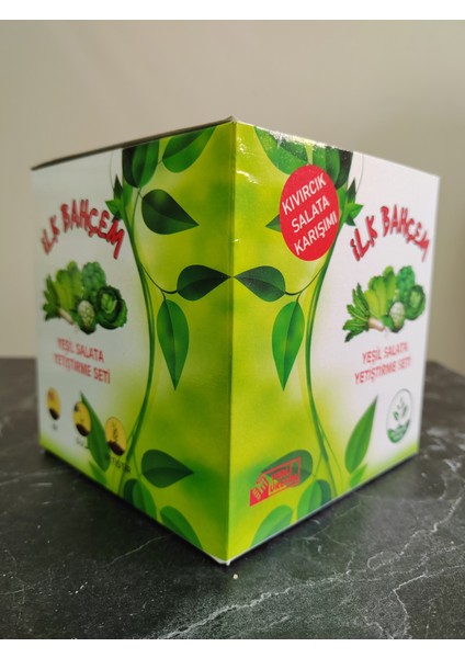 Yeşil Salata Yetiştirme Seti - Kıvırcık Salata