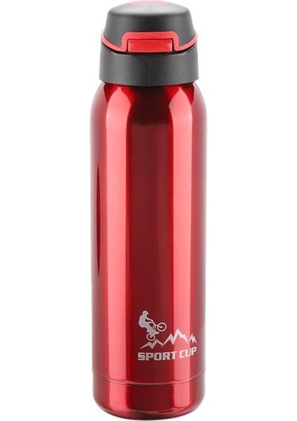 500 ml Paslanmaz Çelik Şişe Vakum Yalıtımlı Saman Bardak Kupa Spor Su Şişesi (Yurt Dışından) fiyatları