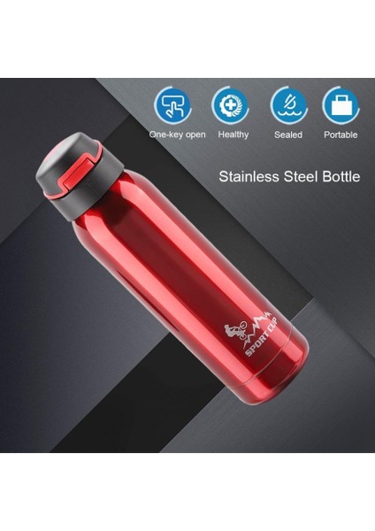 500 ml Paslanmaz Çelik Şişe Vakum Yalıtımlı Saman Bardak Kupa Spor Su Şişesi (Yurt Dışından) modelleri