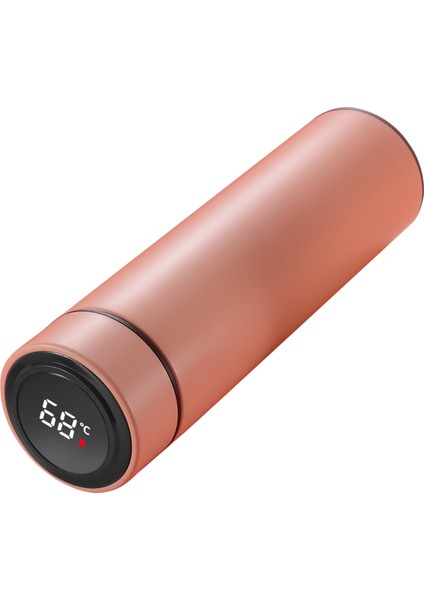 Ev Için 500ML Korozyon Önleyici Sıcaklık Göstergesi Paslanmaz Çelik Su Bardağı Şişesi (Yurt Dışından) modelleri