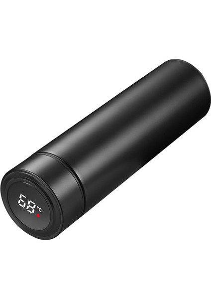 Ev Için 500ML Korozyon Önleyici Sıcaklık Göstergesi Paslanmaz Çelik Su Bardağı Şişesi (Yurt Dışından) indirimleri