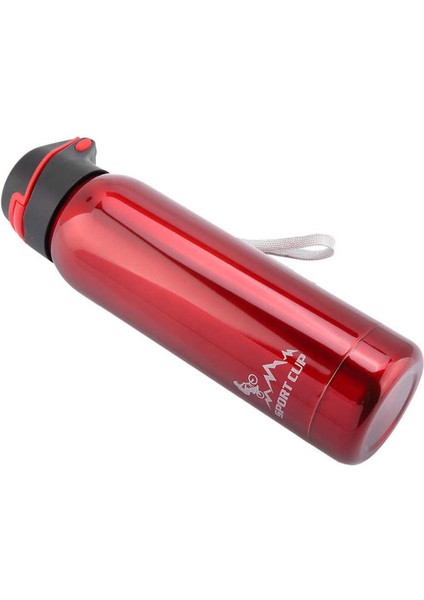 500 ml Paslanmaz Çelik Şişe Vakum Yalıtımlı Saman Bardak Kupa Su (Yurt Dışından) fiyatları