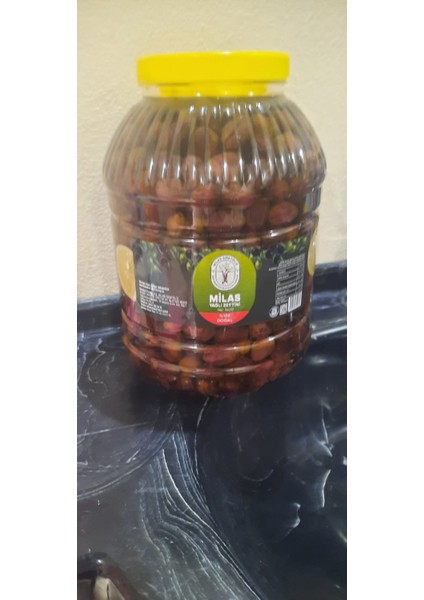 Milas Çizik Yağlı Zeytin