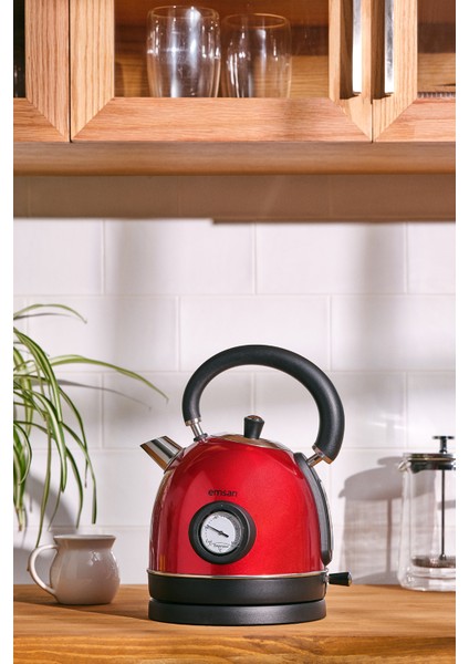 Turtle Kettle Red