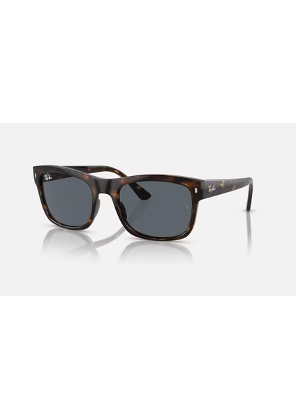 0RB4428 56 710/R5 Unisex Güneş Gözlüğü
