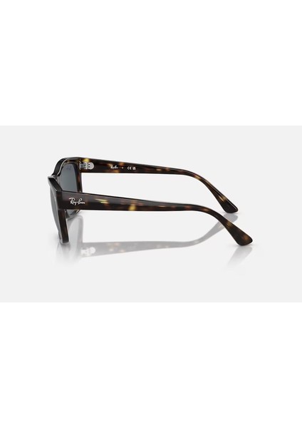 0RB4428 56 710/R5 Unisex Güneş Gözlüğü fiyatları