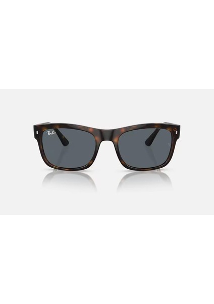 0RB4428 56 710/R5 Unisex Güneş Gözlüğü modelleri