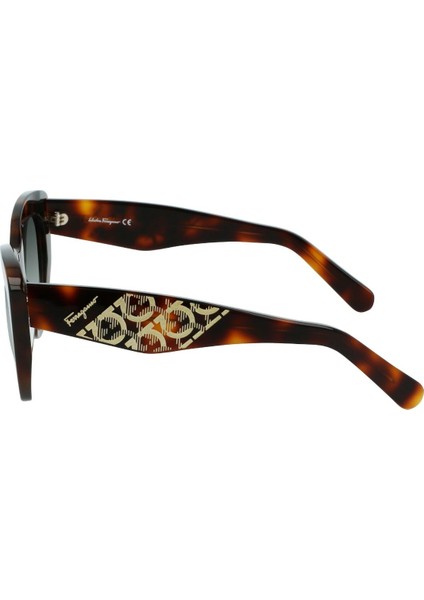 S.ferragamo Sf 1022S-214 Kadın Güneş Gözlüğü modelleri