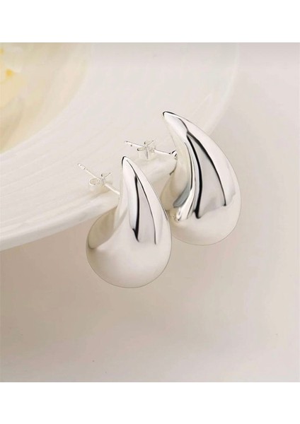 Çelik Bottega Model Kucuk (2cm) Küpe modelleri