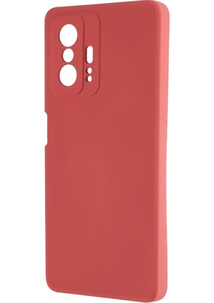 Xiaomi 11T Pro 5G/11T 5g Için Ka Fiber Astar Telefon Kapağı Esnek Tpu Telefon Case Hawthorn Kırmızı (Yurt Dışından)