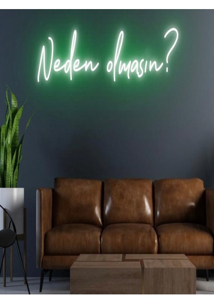 Neden Olmasın? Yazılı Neon Tabela