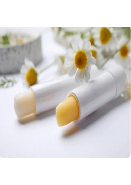 Lip Balm Nemlendirici