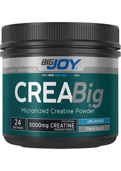 Bigjoy Sports Creabig Powder Creatine Monohydrate Micronized Amino Asit 120g