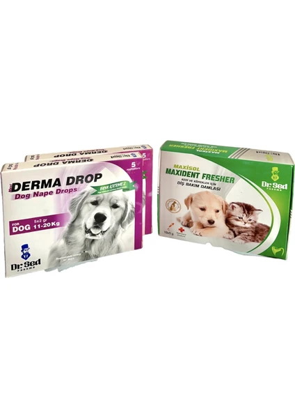 Dr. Sed Maxi Derma Köpek 11-20 kg Dışparazit Ensedamlası Deri Bakım 2 Kutu + Veteriner Onaylı Ağız Kokusu Giderici