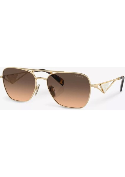 PR A50S ZVN50C 59-17 Kadın Gold Metal Oval Güneş Gözlüğü