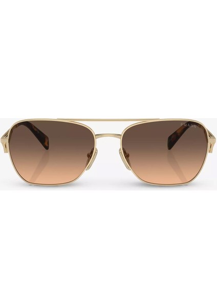 PR A50S ZVN50C 59-17 Kadın Gold Metal Oval Güneş Gözlüğü fiyatları