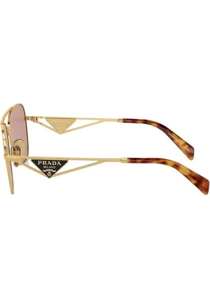PR A50S ZVN50C 59-17 Kadın Gold Metal Oval Güneş Gözlüğü modelleri