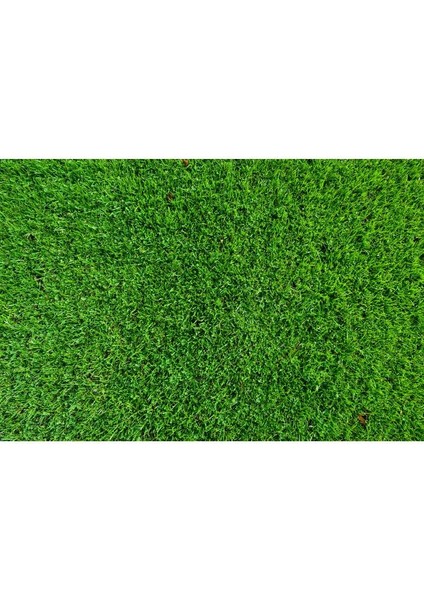 Amonyum Sülfat Şeker Gübresi Çim Gübresi 5 kg modelleri