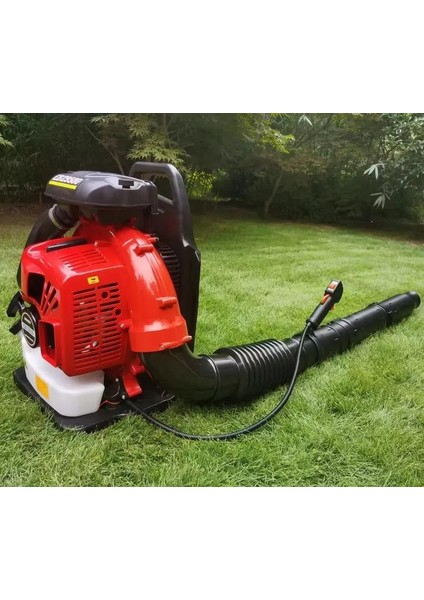 Garden Pro EB985 5 Hp 2 Zamanlı Benzinli Üfleme Makinası