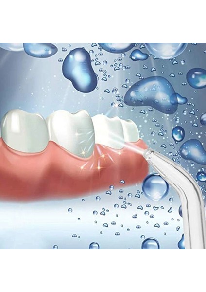 Waterpik Su Flosserleri ve Diğer Marka Oral Sulama Cihazları Için Uyumlu 10 Adet Yedek Klasik Jet Uçları (Yurt Dışından)